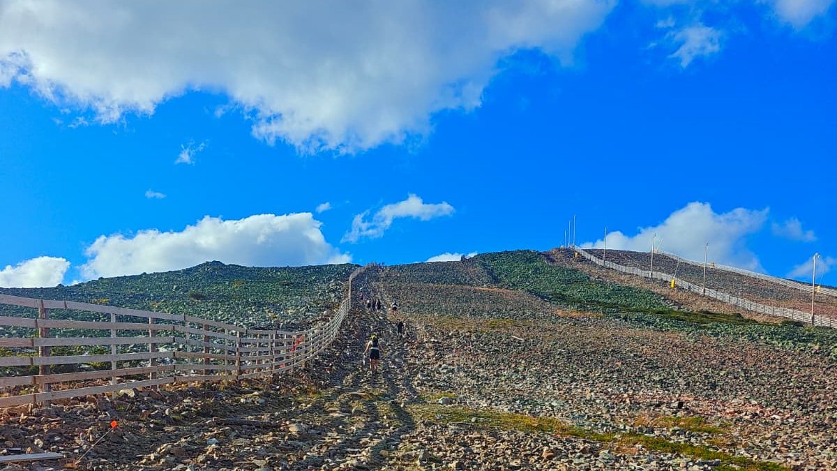 Stone trail and fence on an open fell